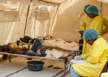 Zamfara, Cross River, Adamawa, Ogun have highest cholera cases – NCDC