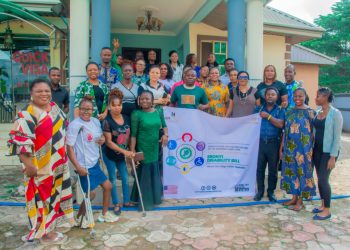 Ebonyi Stakeholders Call for Domestication of Disability Bill