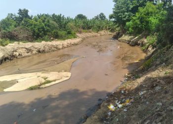 Anambra: NUJ Tasks State Government On Erosion Control, Waste Management