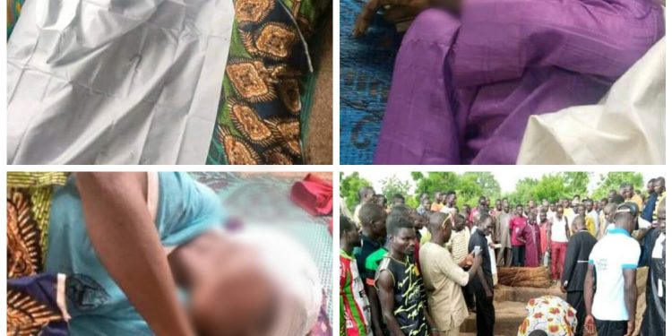 Mentally-unstable man kills 9 villagers in Adamawa