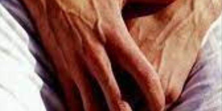 ‘Stolen’ genitals: 2 men jailed 3 months for defamation of character