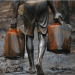Nigeria records 226 crude oil theft in one week, says NNPC