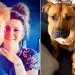 Man to appeal as court rules that his dog should be k!lled after it bit him while he was having sex with girlfriend