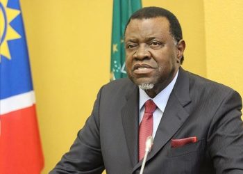 Fury in Namibia over inclusion of president’s four children in COP28 delegation