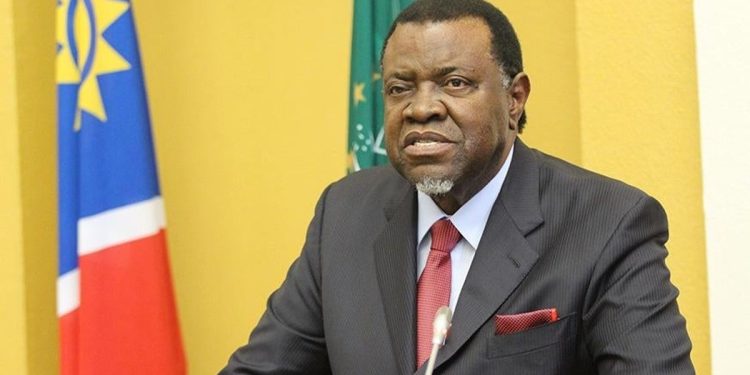 Fury in Namibia over inclusion of president’s four children in COP28 delegation