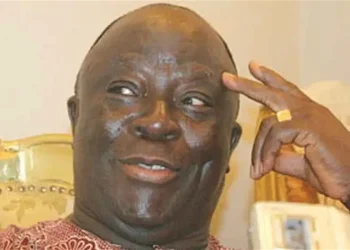 Afenifere sacks Adebanjo as Acting leader, Deputy leader