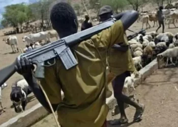 Two dead, others injured as suspected herdsmen attack Benue community