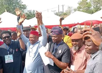 By-Elections: Prof. Anthony Okorie Ani Wins APC Ticket For Ebonyi South Senatorial Election