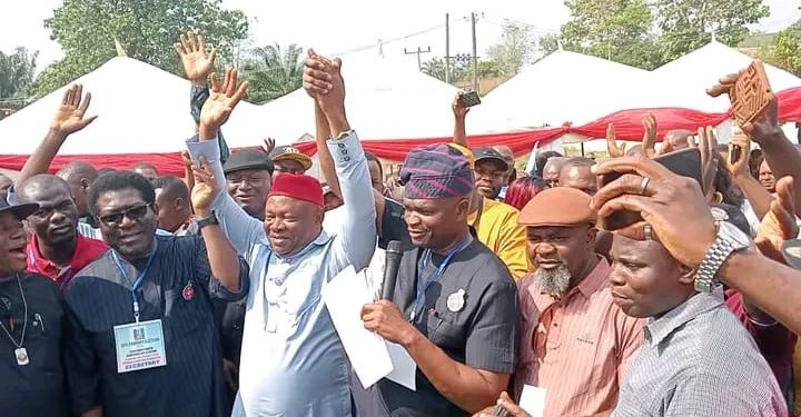 By-Elections: Prof. Anthony Okorie Ani Wins APC Ticket For Ebonyi South Senatorial Election