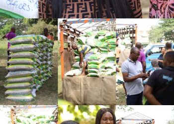 Lawmaker, Prof Oby Orogbu Distributes 2570 Bags Of Palliative Rice To 34 Wards Constituency