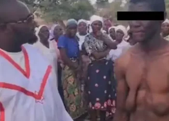 Man grows giant boobs after being sucked for milk by a giant snake each night