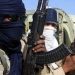 Gunmen invade Benue Community, kill 35