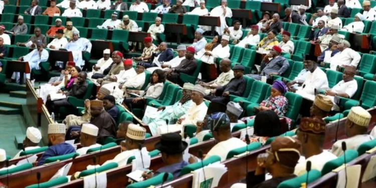 Reps reject NNPCL’s OVH acquisition report, order fresh investigation