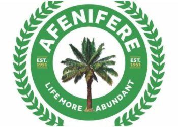 Kaduna Kidnapping: Afenifere Calls For Multi-Level Policing As Kidnappers Demards N40trn Ransom
