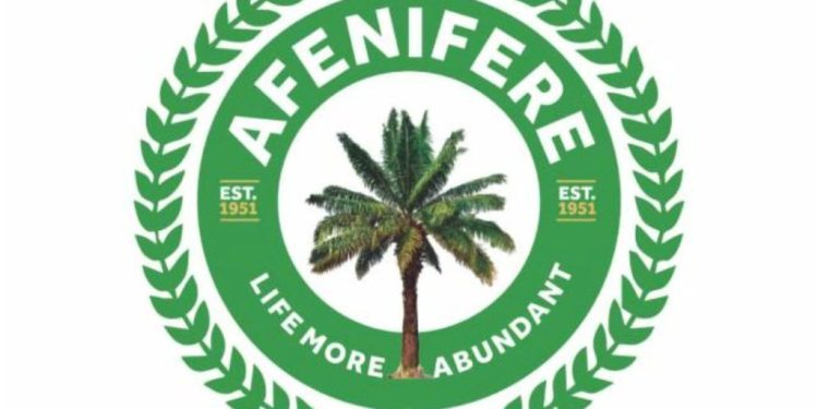 Kaduna Kidnapping: Afenifere Calls For Multi-Level Policing As Kidnappers Demards N40trn Ransom