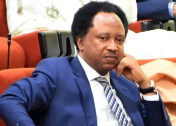 Looting of govt warehouse, symptom of impending revolution – Shehu Sani warns