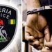 Man Arrested Over Alleged Rape In Anambra