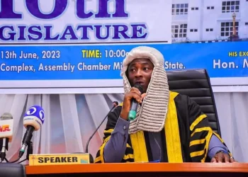 Niger Speaker halts plan to marry off 100 orphans, accuses Minister of interference