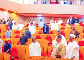 Senate to hold national summit on farmer-herder crisis