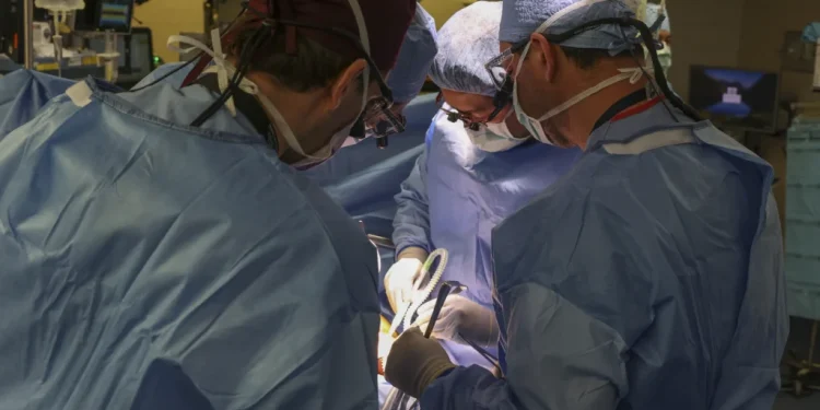 Man who received first-ever pig kidney transplant dies — two months after surgery