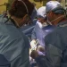 Man who received first-ever pig kidney transplant dies — two months after surgery