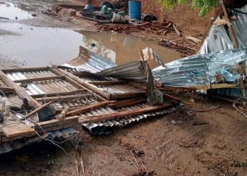 Rainstorm kills minor, destroys 50 houses in Yobe