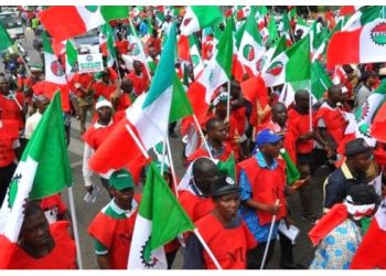 Minimum Wage: You Can’t Dictate What To Pay, NLC Replies Govs