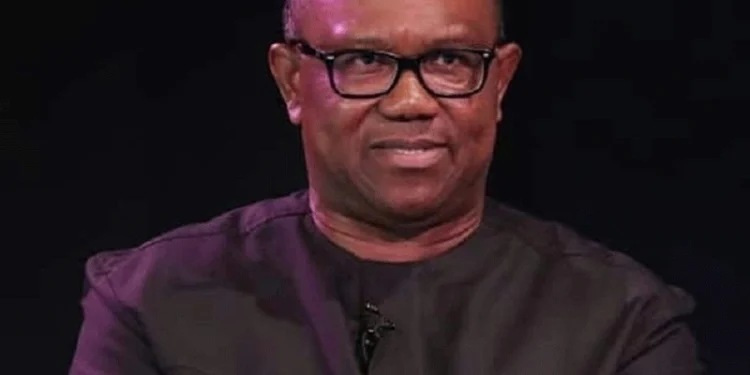 You lack understanding of Nigeria – Northern group blasts Peter Obi