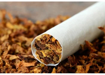 WHO advocates ban on tobacco use in Nigeria