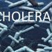 Cholera Kills 15 In Lagos, 350 Suspected Cases Recorded