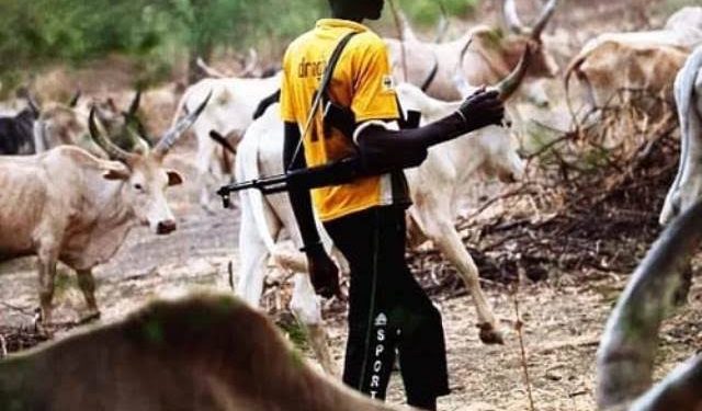 Farmers, herders feud claims three lives in Niger