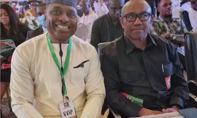 I’ve lost confidence in you – Kenneth Okonkwo parts ways with Peter Obi, LP