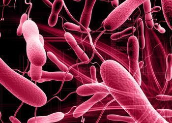 Cholera: 63 Deaths, 2,102 Cases Recorded As Disease Spreads To 33 States