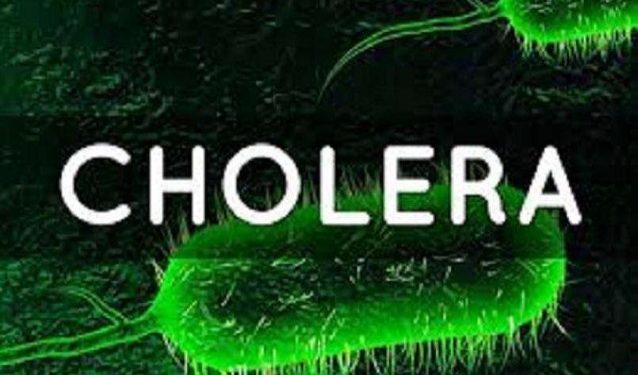 Rainy Season: Nigeria Records 103 Cholera Deaths As Yellow Fever, Meningitis Cases Spike