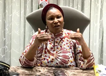 I didn’t sponsor protest in Abuja – Senator Kingibe