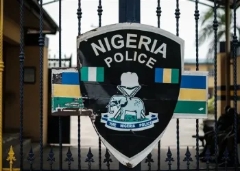 Police arrest man for killing his wife in Borno