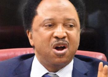 Serving Senators Earn ₦21m Monthly, I Got ₦13m During My Time — Shehu Sani