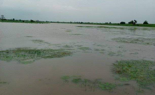 Three teenage girls drown in Jigawa pond