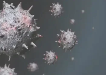 Monkeypox spreads: 44 cases, one death recorded in West Africa — ECOWAS