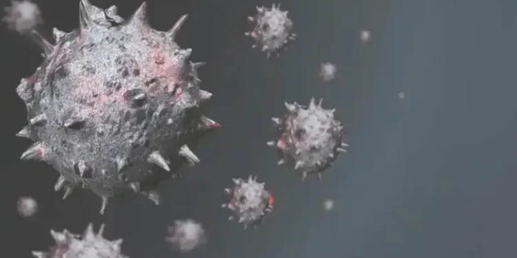 Monkeypox spreads: 44 cases, one death recorded in West Africa — ECOWAS