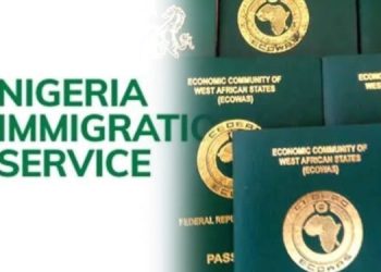 Why we increased Nigerian passport fees — Immigration