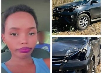 Police officer commits suicide after killing woman in hit-and-run accident