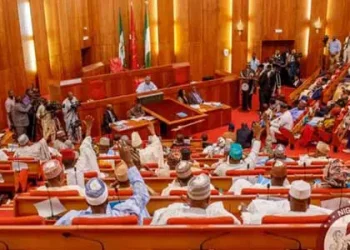 Constitution Review: Senators divided over proposed return to regional govt
