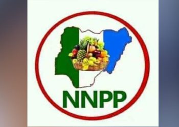 NNPP Sweeps Kano Local Government Election