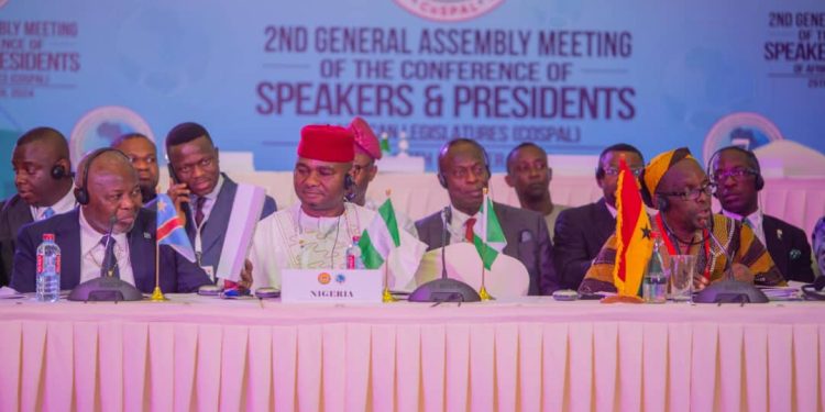 Senator Nwebonyi Represents Nigeria At The Technical Session Of Conference Of Speakers, Presidents Of African Legislatures