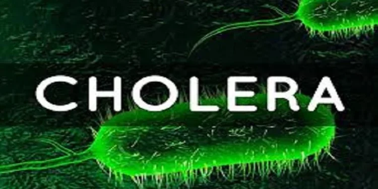 Benue: Panic as suspected cholera outbreak kills 11 in 4 days, others critically ill