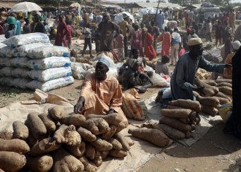 Economy: Most Northerners Can’t Afford A Square Meal Per Day, CNG Decries