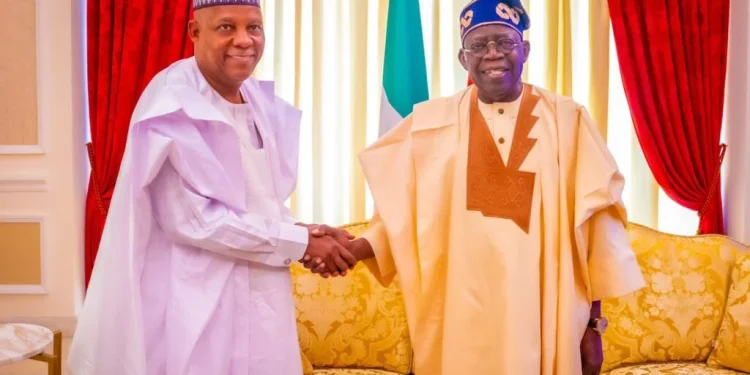 Tinubu, Shettima’s absence won’t create leadership vacuum, says presidency