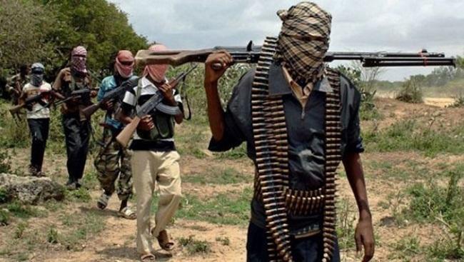 Fulani Militants Kill Over 15 Farmers In Benue Community