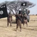 ISWAP invades Geidam town in Yobe, kills resident, destroys properties